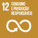 icone-agenda2030-PT-06