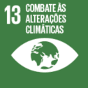 icone-agenda2030-PT-07