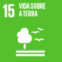 icone-agenda2030-PT-09